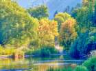 USA-Utah-Logan Canyon Colorful aspens in autumn Art Print